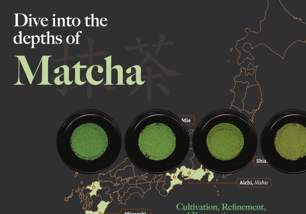 Matcha Infographic Thumbnail